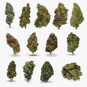 Cannabis Collection 2