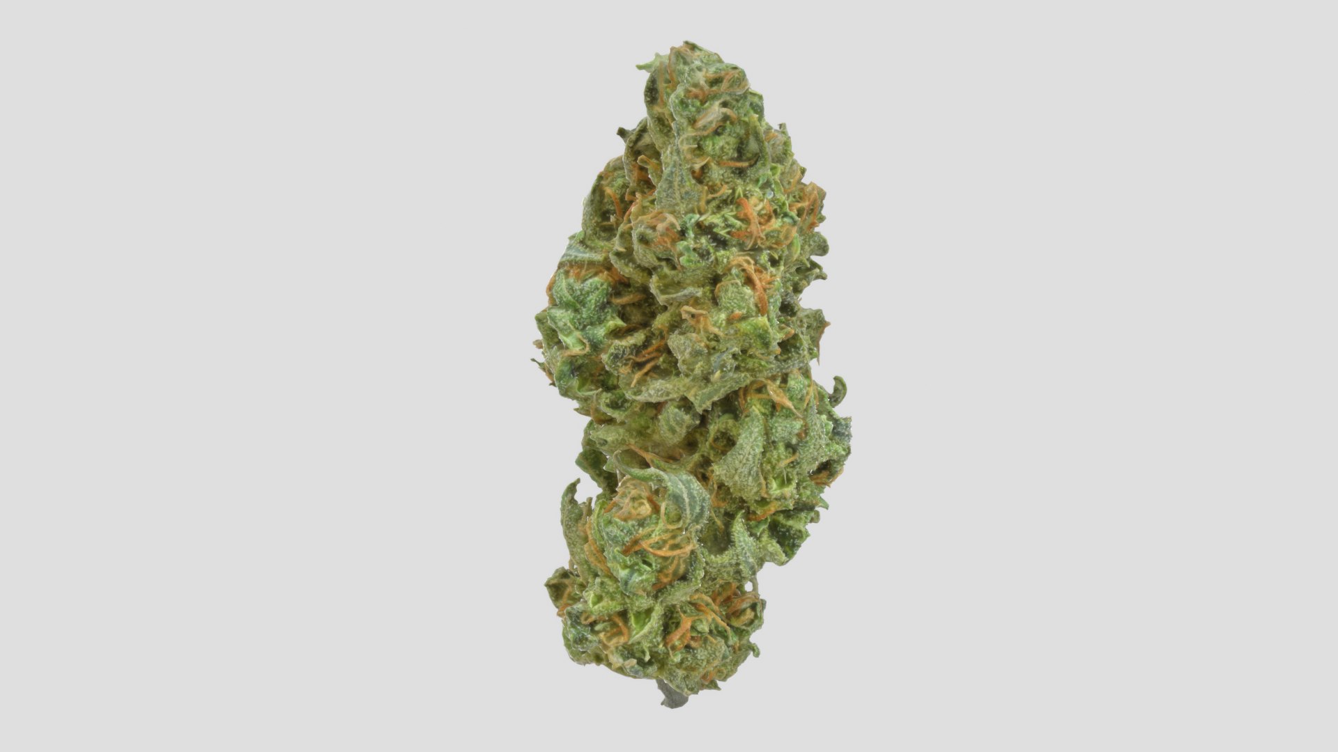 cannabis bud scan 3D model https://p.turbosquid.com/ts-thumb/QT/JDxFFJ/m54SsdJn/stardawg_r5/png/1588173942/1920x1080/fit_q87/0e64fc1410cd9344dd694003693af771e2f1707e/stardawg_r5.jpg