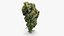 Cannabis Collection 2