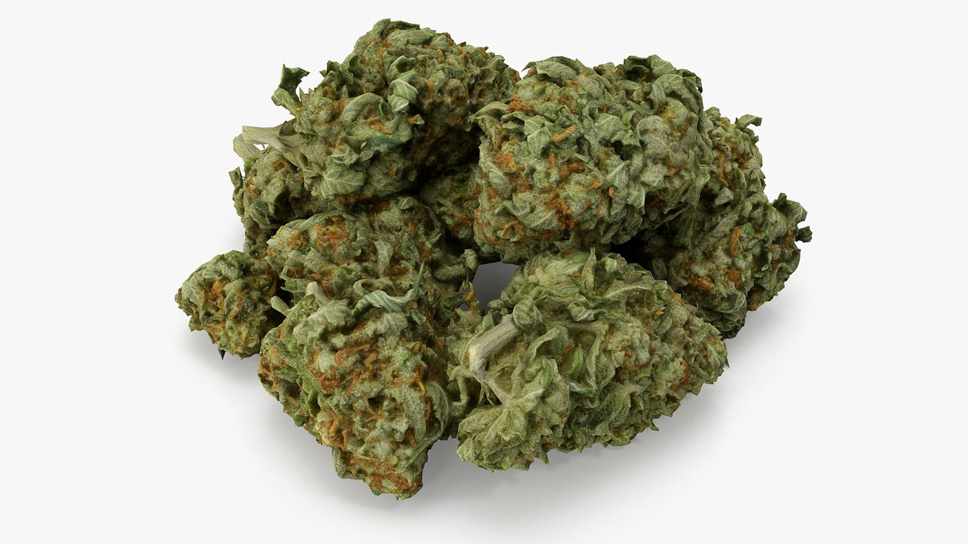 cannabis bud scan 3D model https://p.turbosquid.com/ts-thumb/QT/JDxFFJ/oDZrsHuC/12/png/1588176530/1920x1080/fit_q87/07cb69102cbf9cf1d76bb3246df059e717ee944a/12.jpg
