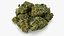Cannabis Collection 2