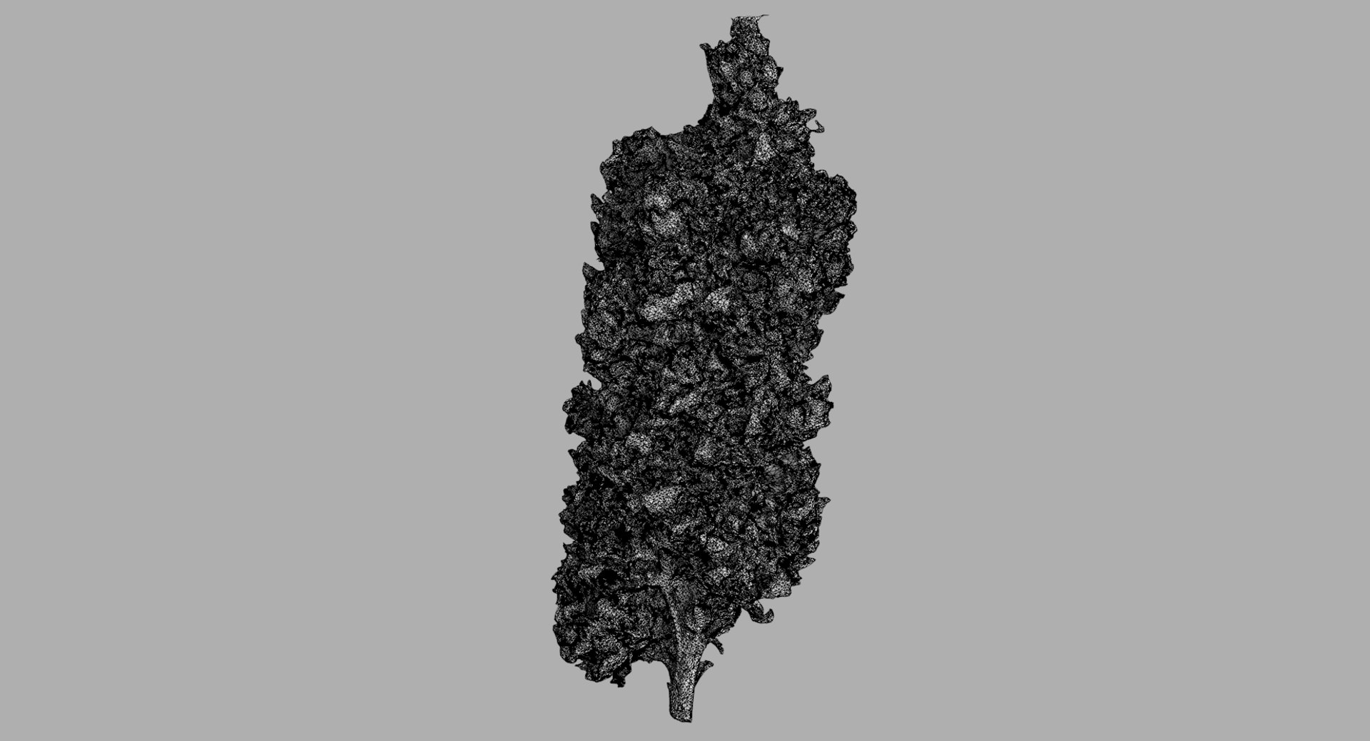 cannabis bud scan 3D model https://p.turbosquid.com/ts-thumb/QT/JDxFFJ/olD5wy5U/mk_r1w/png/1588173918/1920x1080/fit_q87/7c6b694522efb6b093b519f32ddb495648b73933/mk_r1w.jpg