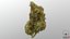 Cannabis Collection 2