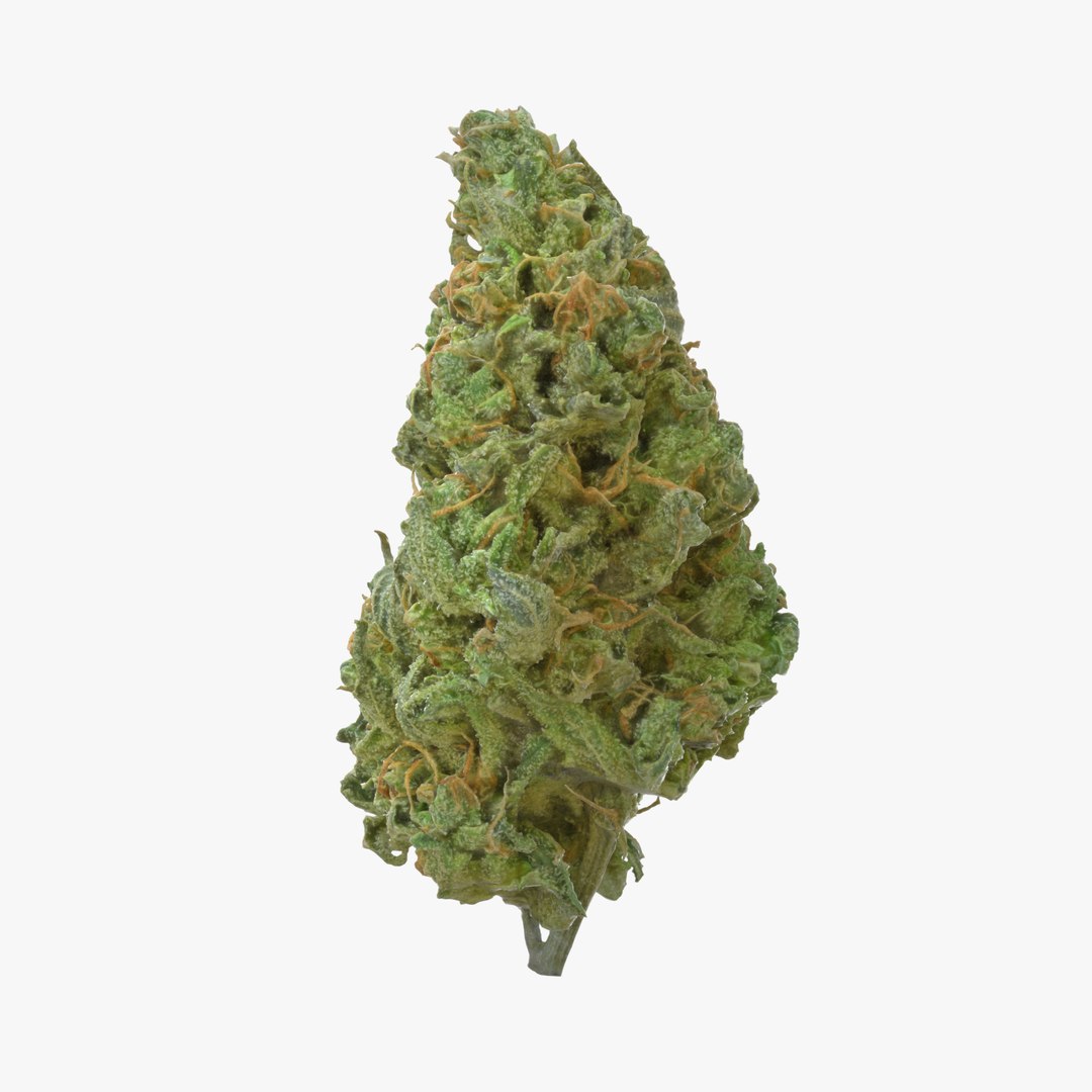 cannabis bud scan 3D model https://p.turbosquid.com/ts-thumb/QT/JDxFFJ/x22OcQbu/stardawg_r1s/png/1588173947/1920x1080/fit_q87/038dede1b6d551c2816bd2d5e5023b253e5c96bb/stardawg_r1s.jpg