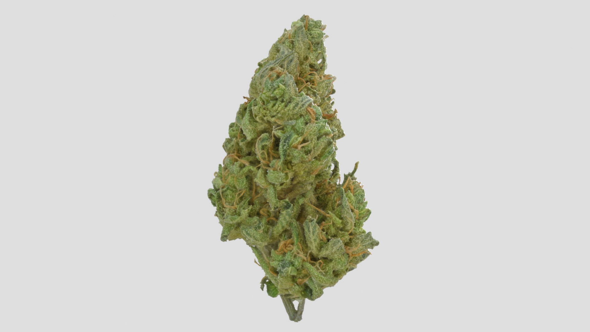 cannabis bud scan 3D model https://p.turbosquid.com/ts-thumb/QT/JDxFFJ/y5uro5Ld/stardawg_r2/png/1588173940/1920x1080/fit_q87/acb2b4af56b6db4a23d93448faceb0577a227158/stardawg_r2.jpg