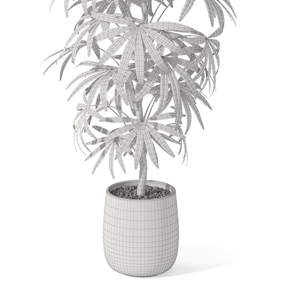 Plants collection 1059 model https://p.turbosquid.com/ts-thumb/QT/aCJfhR/0d/plant_1059_05/jpg/1709899035/1920x1080/fit_q87/f2a25813044211ea8e6956f1b184e46406e3f4b5/plant_1059_05.jpg