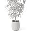 Plants collection 1059