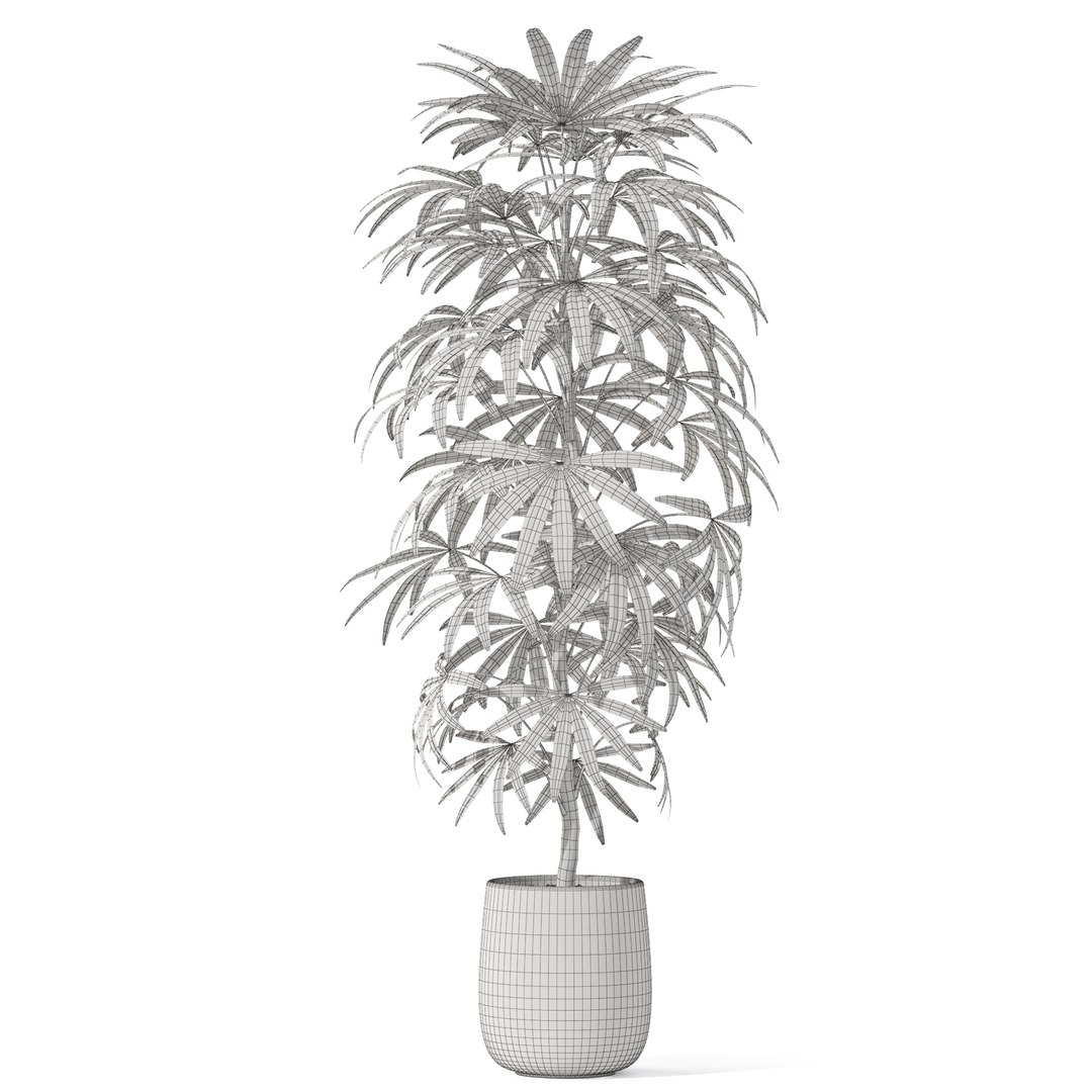 Plants collection 1059 model https://p.turbosquid.com/ts-thumb/QT/aCJfhR/c6/plant_1059_04/jpg/1709899035/1920x1080/fit_q87/6f6ba816ad96e0da4e44c5a1841d1ea67e1d47f1/plant_1059_04.jpg