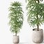Plants collection 1059