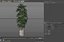 Plants collection 1059