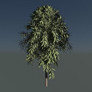 3D Simple tree 24L06