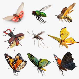 Flying Insects Collection 4