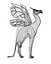 Drago