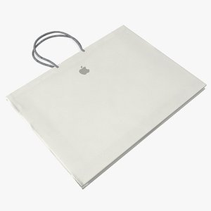 Apple Store Retail Paper Bag Large Folded