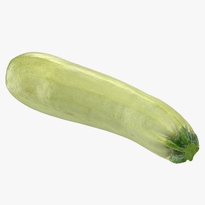 3D summer squash gray zucchini