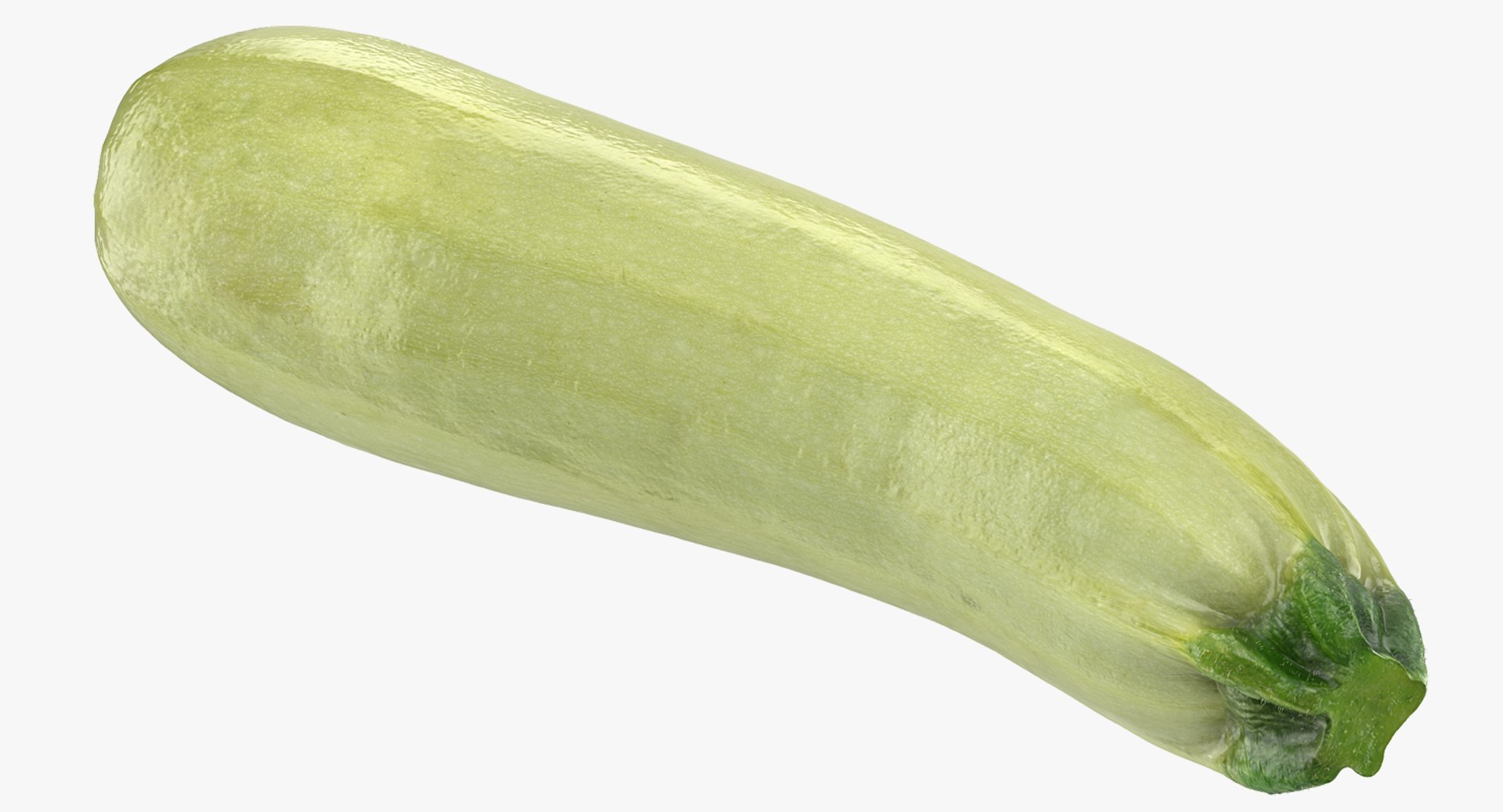 Summer Squash Gray Zucchini 3D Model 3D model preview