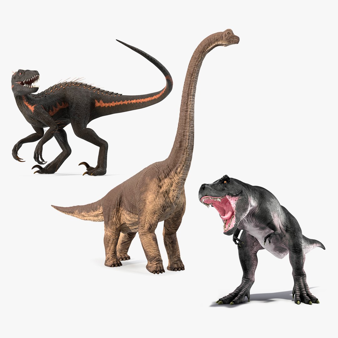 Dinosaurs Collection 6 3D model preview