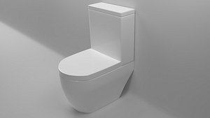 modern toilet