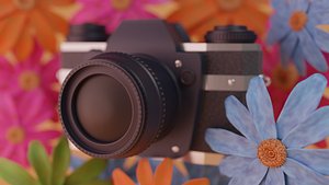 Low Poly DSLR Camera