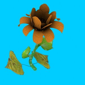 flower blooming animation 3d model