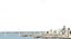 SanFransico City