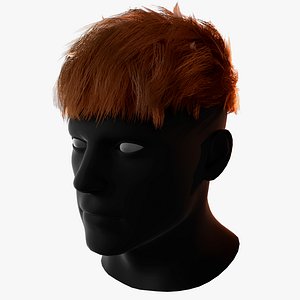 Male Haircut 2