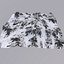 Snowy Mountain MTH101