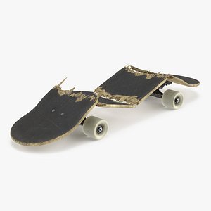 Broken Skateboard in Four Pieces