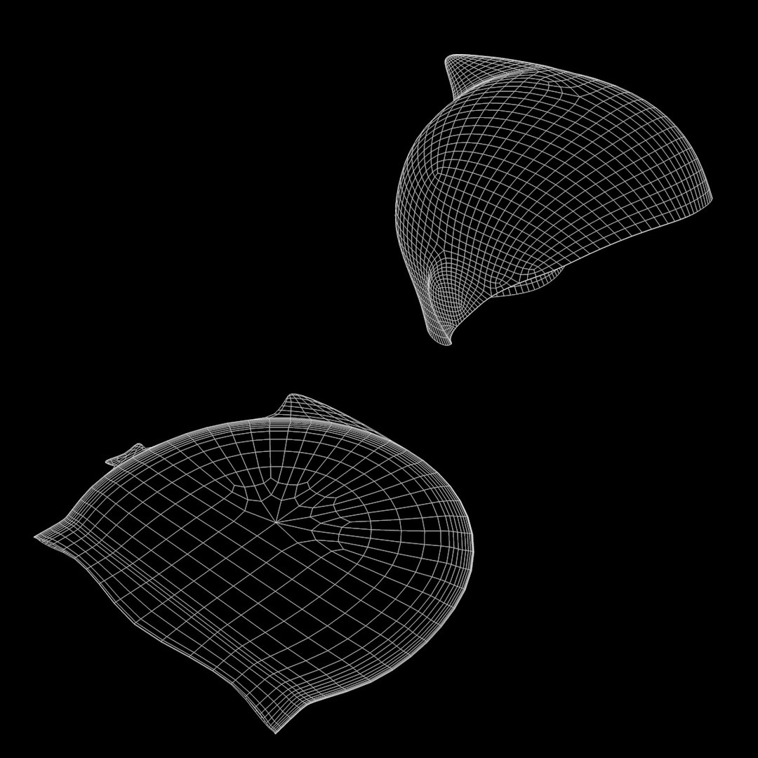 Funny Bathing Cap 3d Obj