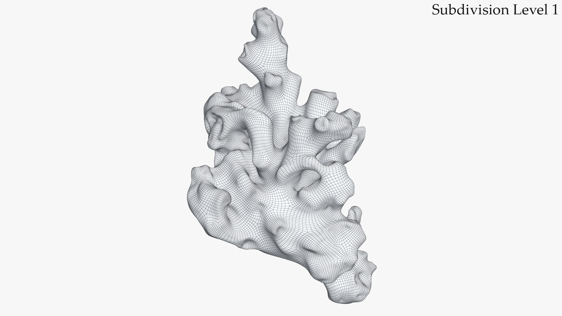 3d coral model