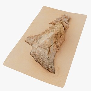 Beach Rock Scan 12 16K