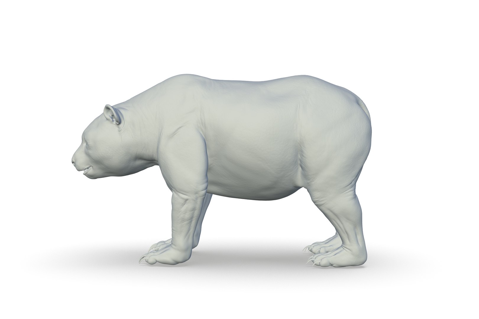 3D Model Giant Panda - TurboSquid 2208430
