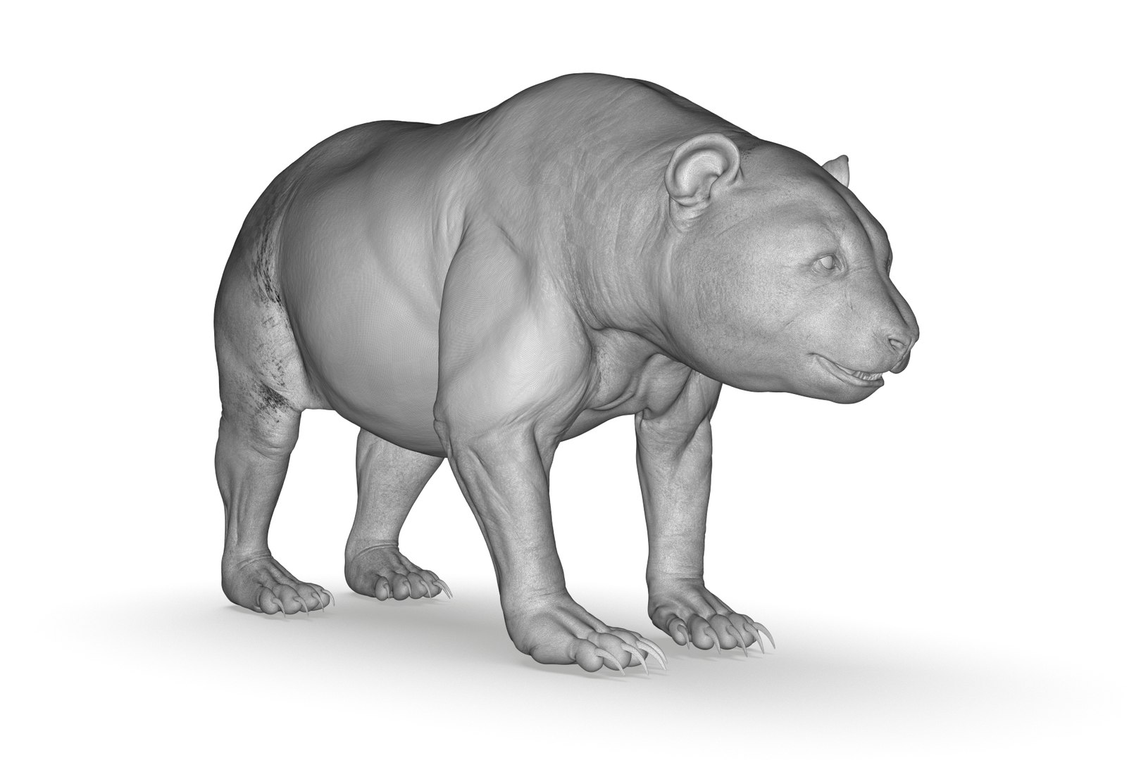 3D Model Giant Panda - TurboSquid 2208430