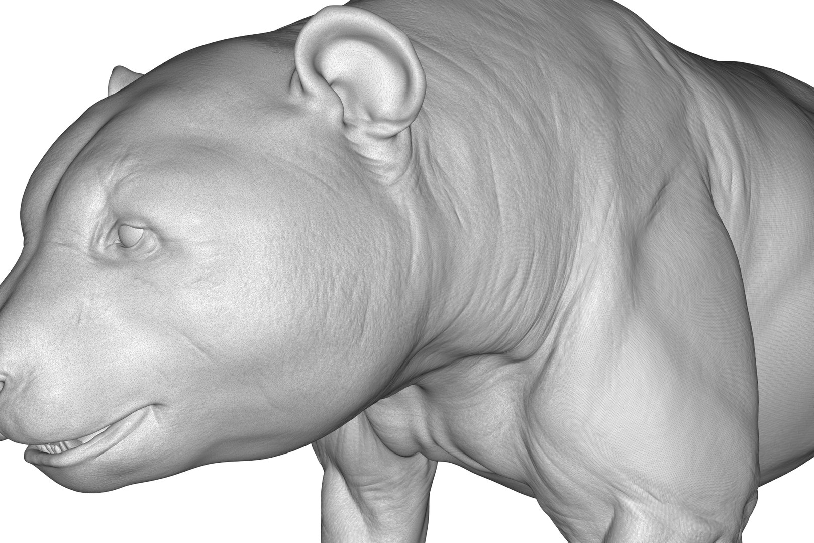 3D Model Giant Panda - TurboSquid 2208430