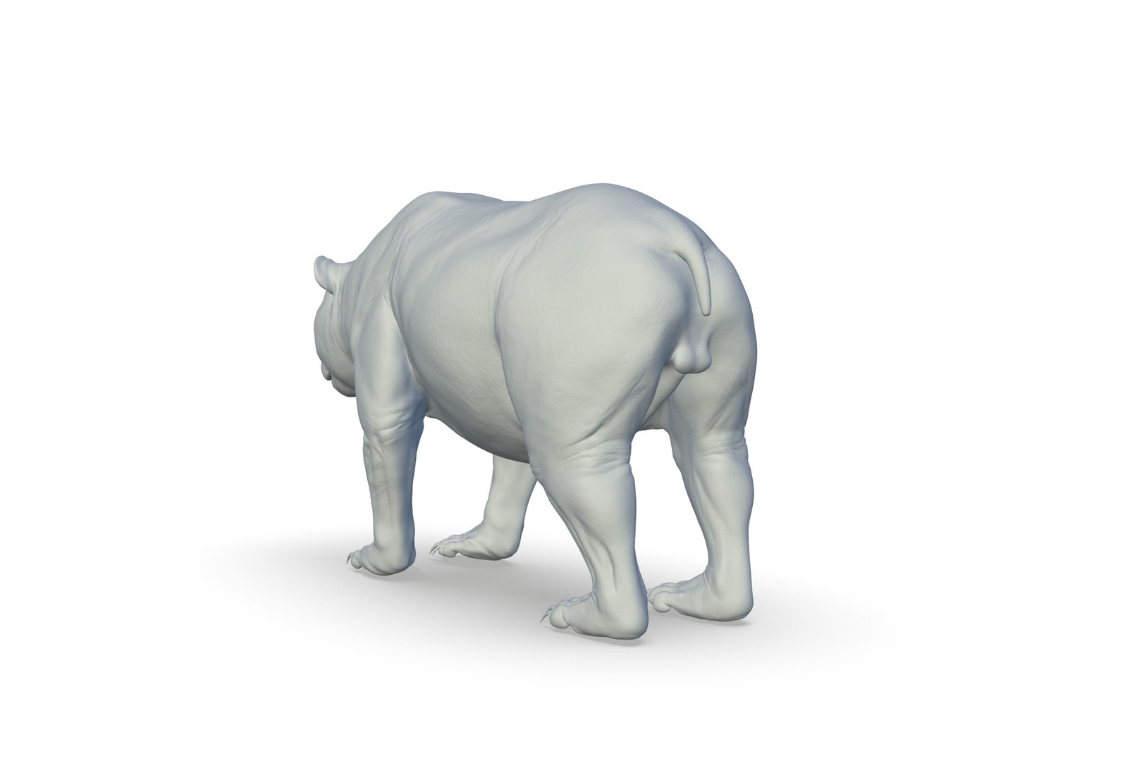 3D Model Giant Panda - TurboSquid 2208430