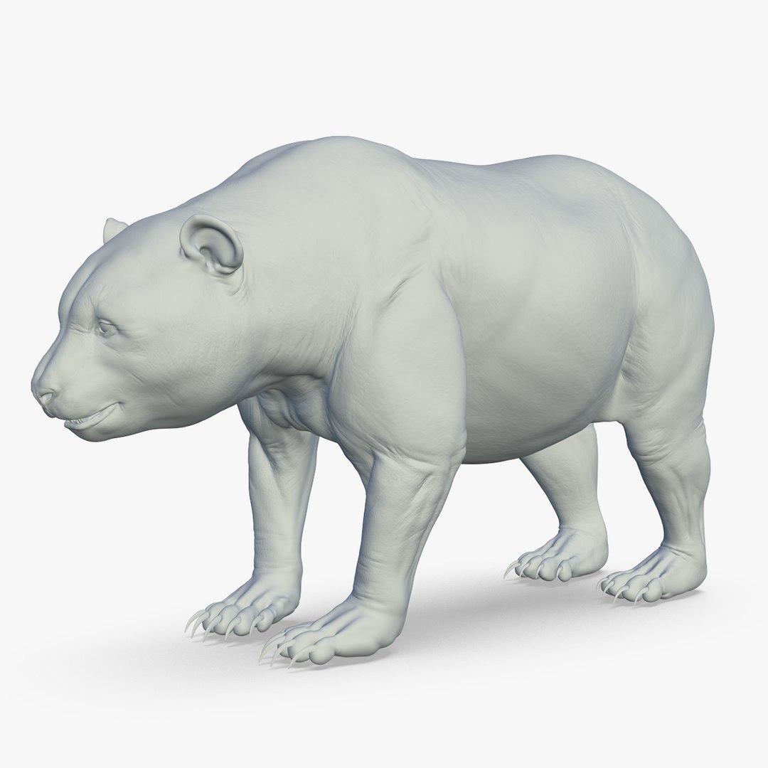 3D Model Giant Panda - TurboSquid 2208430