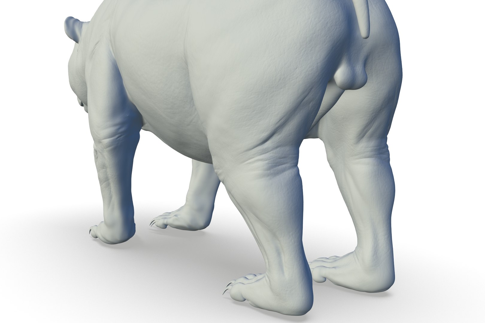 3D Model Giant Panda - TurboSquid 2208430