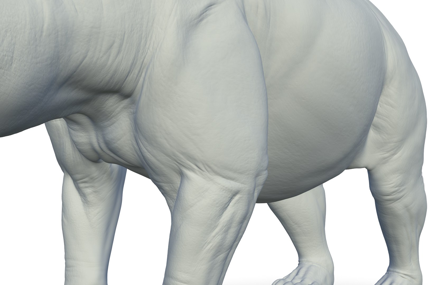 3D Model Giant Panda - TurboSquid 2208430