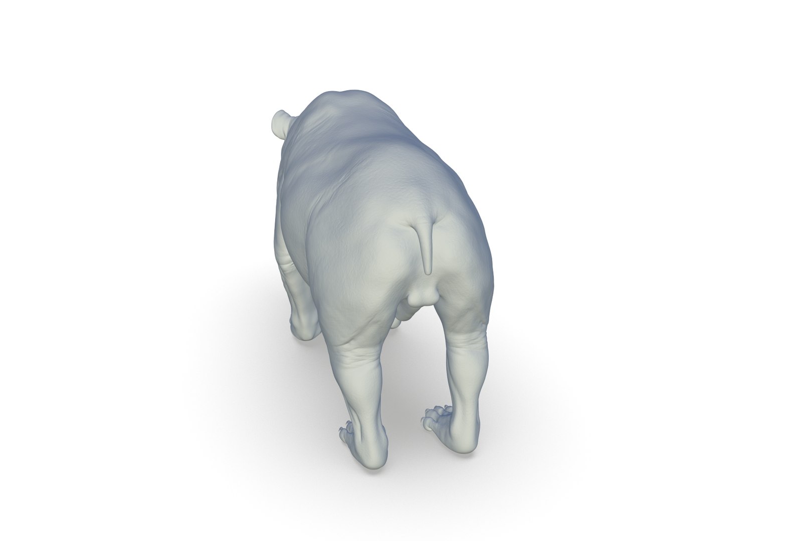 3D Model Giant Panda - TurboSquid 2208430
