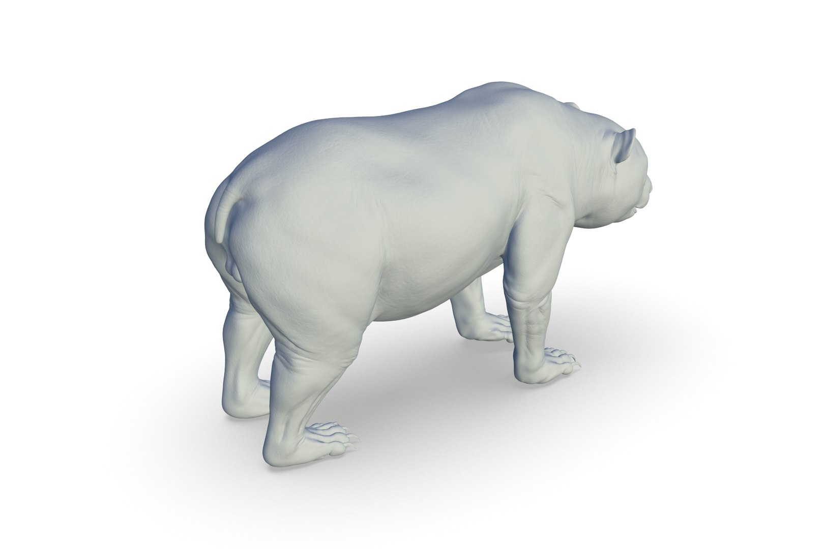 3D Model Giant Panda - TurboSquid 2208430