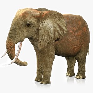 african elephant grey ocher 3D model