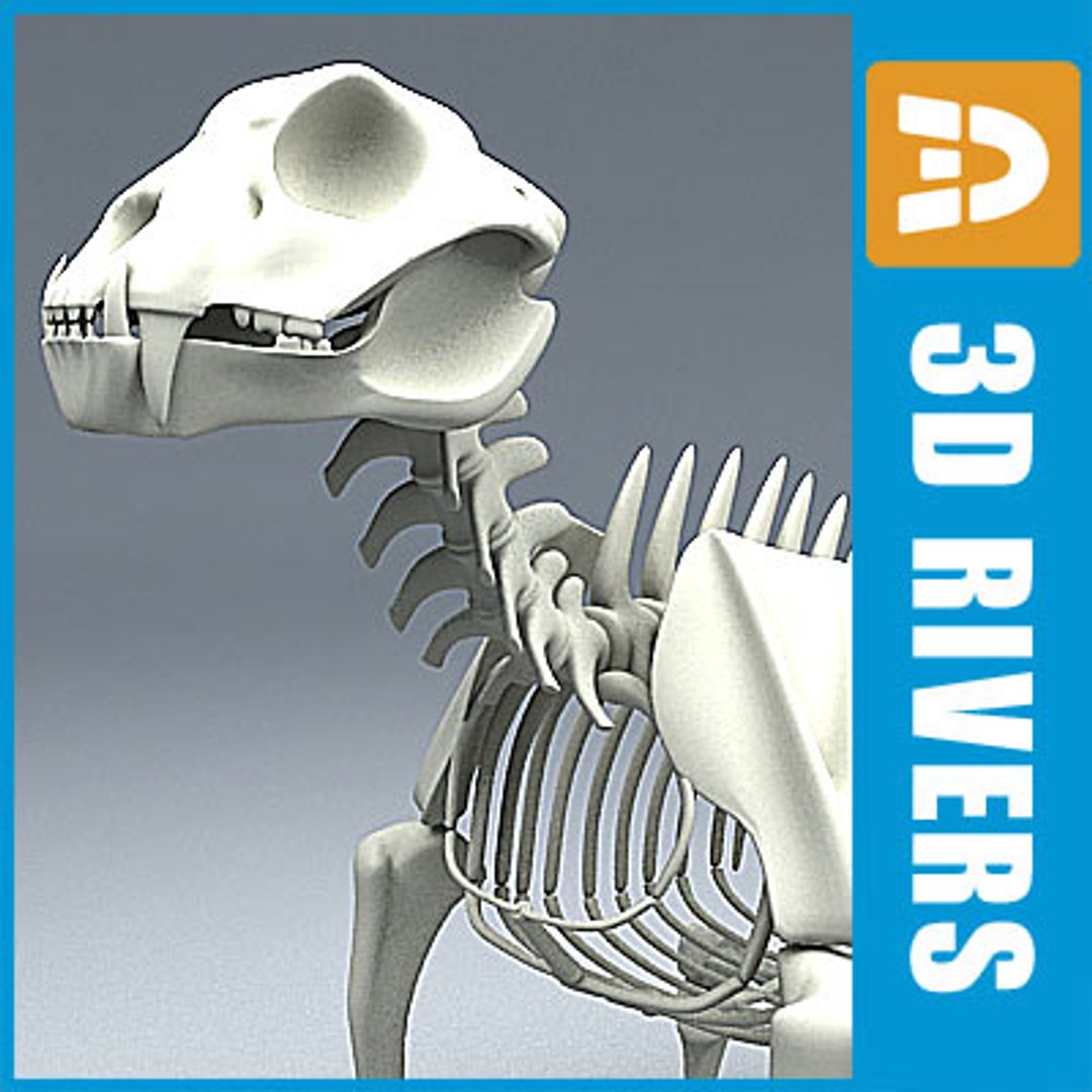 ブランドのギフト Skeleton Obj Jaguars ジャパニーズポップス