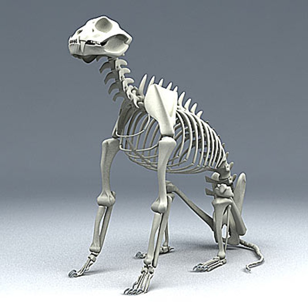 skeleton jaguars obj