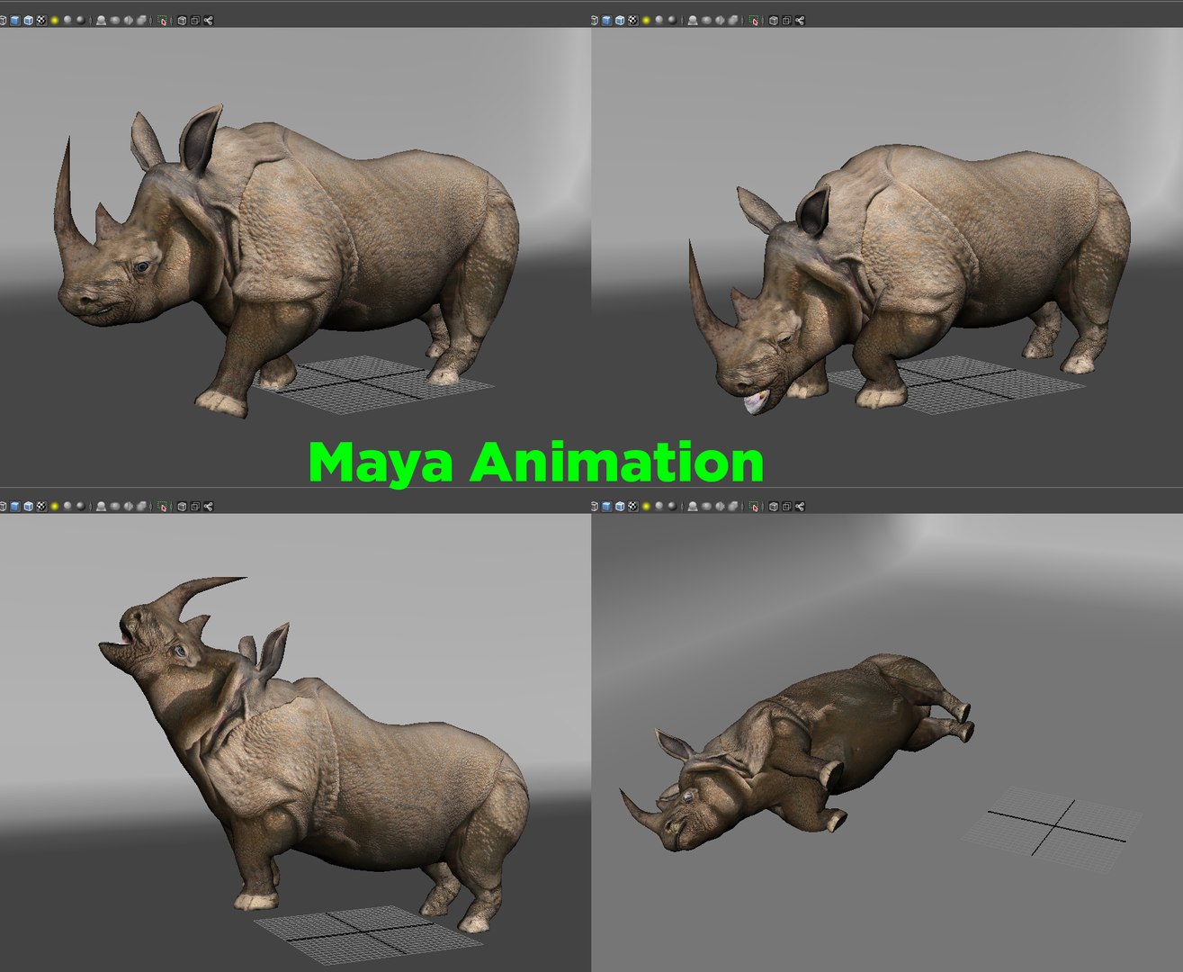 3D Realistic Rhino Rigged Animation - TurboSquid 1271268