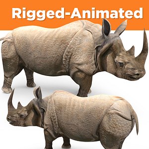 3D realistic rhino rigged animation