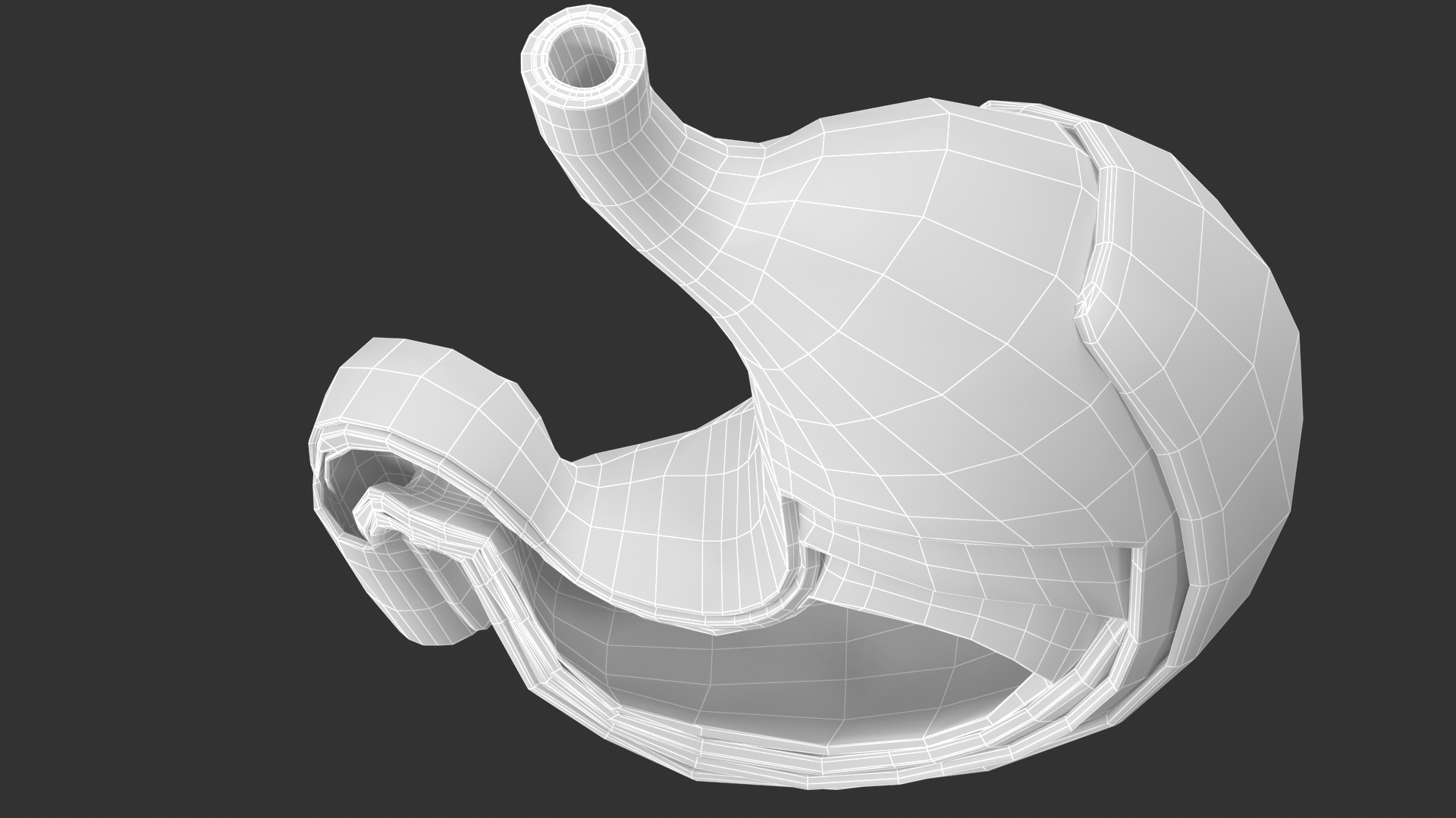 3D Stomach Anatomy v02 - TurboSquid 1753283