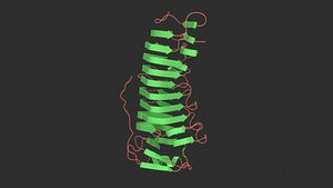 Pectinase
