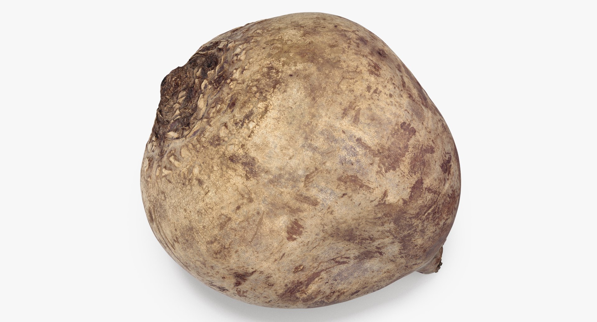 beetroot 04 3D model https://p.turbosquid.com/ts-thumb/QV/YDg5KD/JL5VAdR8/beethroot_04_thumbnail_0002/jpg/1556710723/1920x1080/fit_q87/761f8d22f2f53eb0cd209b5a040d4420a530a76a/beethroot_04_thumbnail_0002.jpg