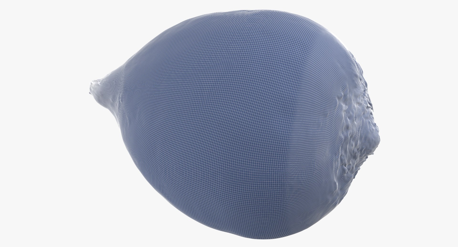 beetroot 04 3D model https://p.turbosquid.com/ts-thumb/QV/YDg5KD/W1ONUYCk/beethroot_04_wireframe_01_0007/jpg/1556710724/1920x1080/fit_q87/e79b7869d62922811083a572f5d670caedc68711/beethroot_04_wireframe_01_0007.jpg