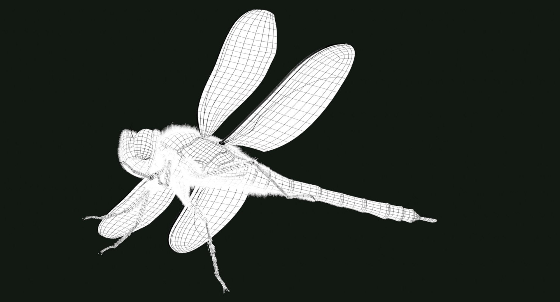Dragonfly Arnold Obj